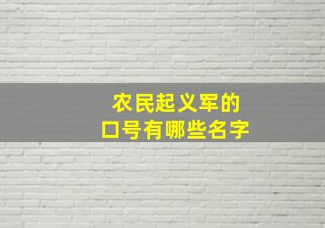 农民起义军的口号有哪些名字