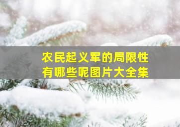 农民起义军的局限性有哪些呢图片大全集