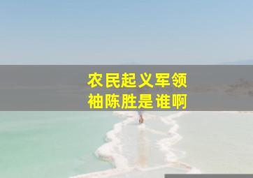 农民起义军领袖陈胜是谁啊