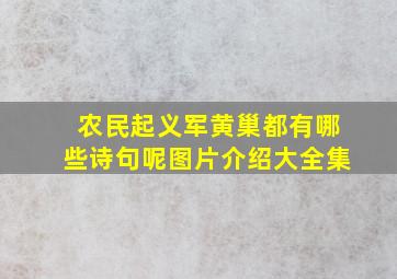 农民起义军黄巢都有哪些诗句呢图片介绍大全集