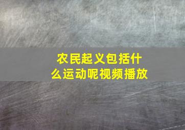 农民起义包括什么运动呢视频播放