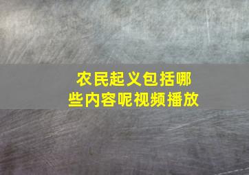 农民起义包括哪些内容呢视频播放