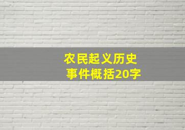 农民起义历史事件概括20字