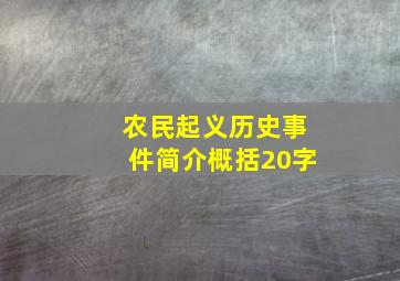 农民起义历史事件简介概括20字