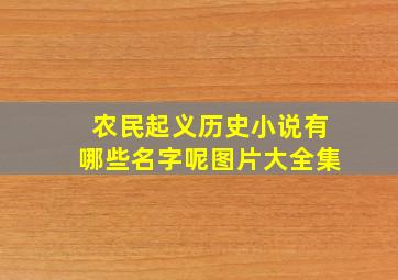 农民起义历史小说有哪些名字呢图片大全集