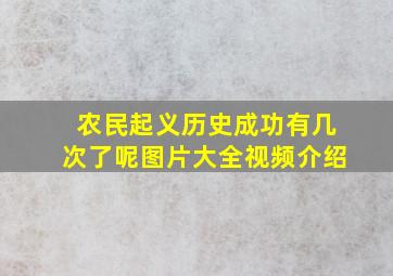 农民起义历史成功有几次了呢图片大全视频介绍