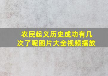 农民起义历史成功有几次了呢图片大全视频播放