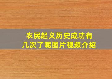 农民起义历史成功有几次了呢图片视频介绍