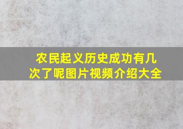 农民起义历史成功有几次了呢图片视频介绍大全