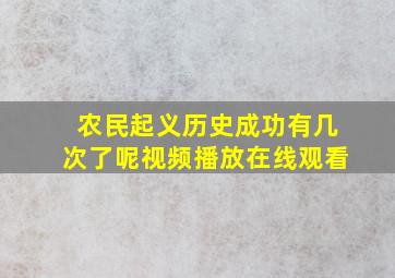 农民起义历史成功有几次了呢视频播放在线观看