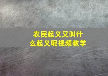 农民起义又叫什么起义呢视频教学