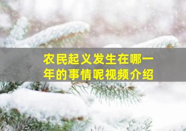 农民起义发生在哪一年的事情呢视频介绍