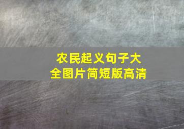 农民起义句子大全图片简短版高清