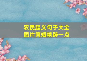 农民起义句子大全图片简短精辟一点