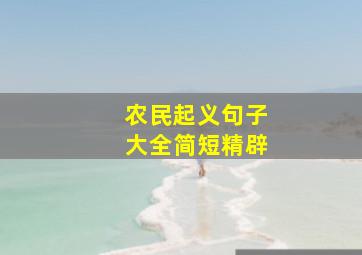 农民起义句子大全简短精辟