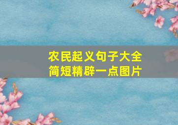 农民起义句子大全简短精辟一点图片