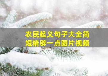 农民起义句子大全简短精辟一点图片视频