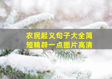 农民起义句子大全简短精辟一点图片高清