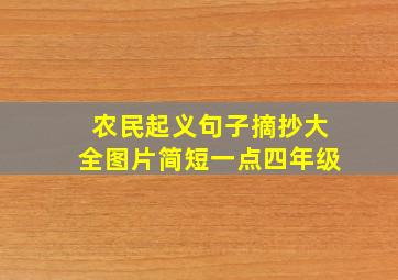 农民起义句子摘抄大全图片简短一点四年级