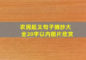 农民起义句子摘抄大全20字以内图片欣赏