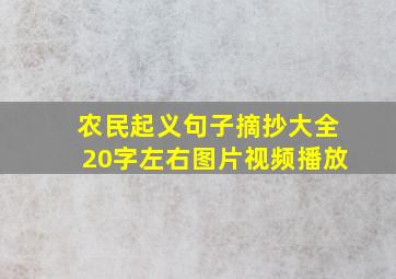 农民起义句子摘抄大全20字左右图片视频播放