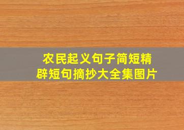 农民起义句子简短精辟短句摘抄大全集图片