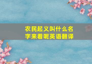 农民起义叫什么名字来着呢英语翻译