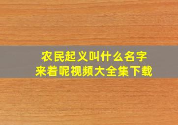 农民起义叫什么名字来着呢视频大全集下载