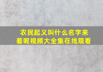 农民起义叫什么名字来着呢视频大全集在线观看