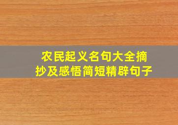 农民起义名句大全摘抄及感悟简短精辟句子