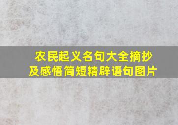 农民起义名句大全摘抄及感悟简短精辟语句图片