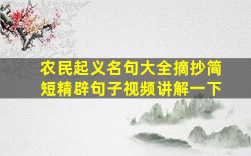 农民起义名句大全摘抄简短精辟句子视频讲解一下