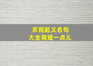 农民起义名句大全简短一点儿