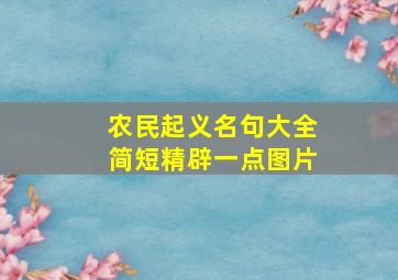 农民起义名句大全简短精辟一点图片