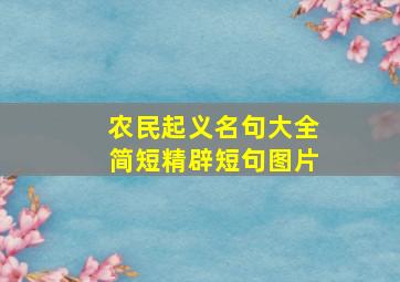 农民起义名句大全简短精辟短句图片