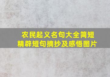 农民起义名句大全简短精辟短句摘抄及感悟图片