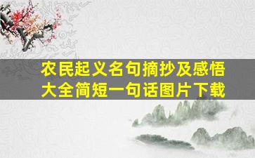 农民起义名句摘抄及感悟大全简短一句话图片下载