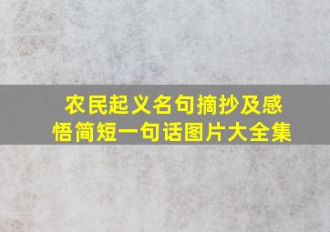 农民起义名句摘抄及感悟简短一句话图片大全集