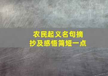 农民起义名句摘抄及感悟简短一点