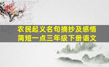 农民起义名句摘抄及感悟简短一点三年级下册语文