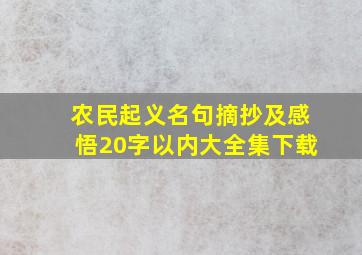 农民起义名句摘抄及感悟20字以内大全集下载