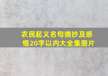 农民起义名句摘抄及感悟20字以内大全集图片