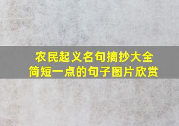 农民起义名句摘抄大全简短一点的句子图片欣赏