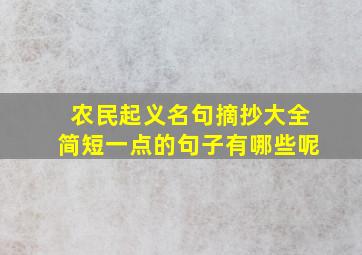 农民起义名句摘抄大全简短一点的句子有哪些呢