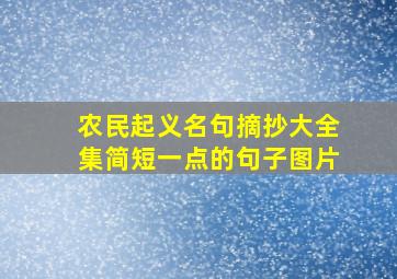 农民起义名句摘抄大全集简短一点的句子图片