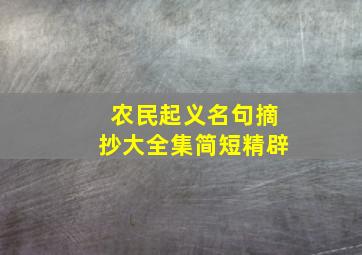 农民起义名句摘抄大全集简短精辟