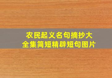 农民起义名句摘抄大全集简短精辟短句图片