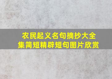 农民起义名句摘抄大全集简短精辟短句图片欣赏