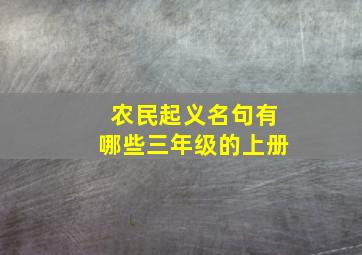 农民起义名句有哪些三年级的上册