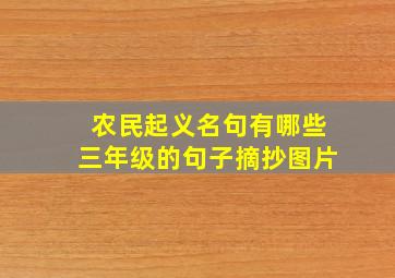 农民起义名句有哪些三年级的句子摘抄图片